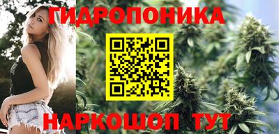 не бодяженный Нальчик